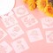 20PCS Flower Painting Stencils Set – Reusable Botanical Templates for Crafts, Wood, Rocks, Canvas, Fabric, Glass, Pottery & DIY Home Decor Art Projects